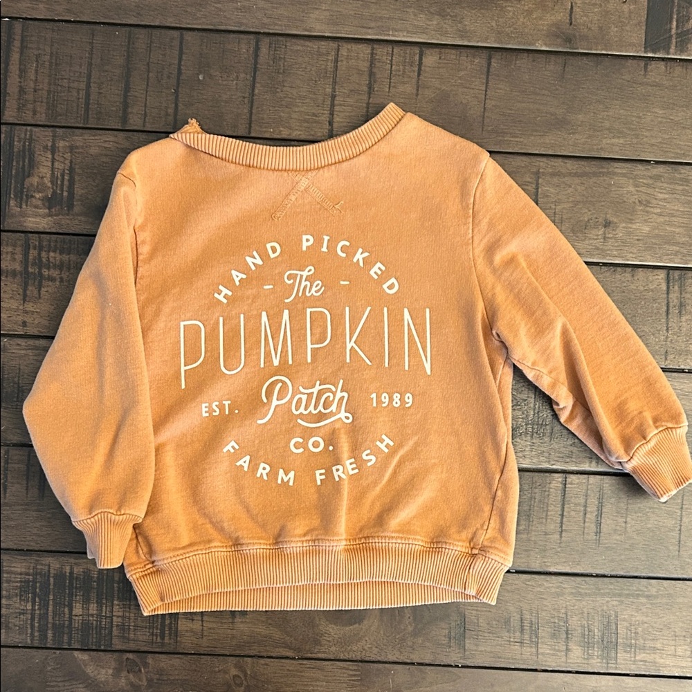 pumpkin patch toddler Sweatshirt